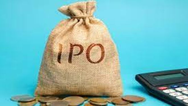 Blue Jet Healthcare Secures Rs 252 Crore From Anchor Investors Before IPO